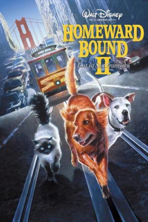De Ongelofelijke Reis 2: Verdwaald In San Francisco (1996)