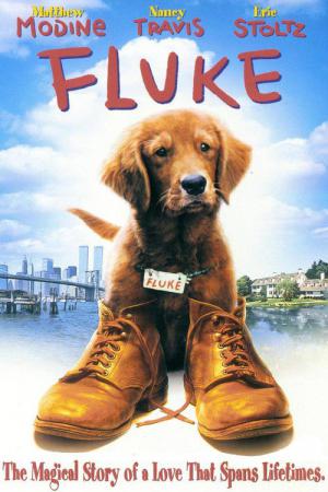 Fluke (1995)