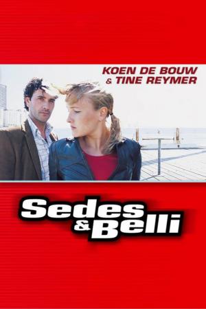 Sedes & Belli (2002)