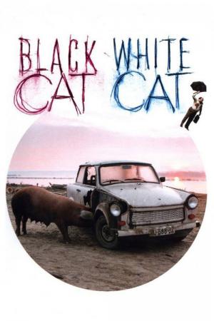 Black Cat, White Cat (1998)