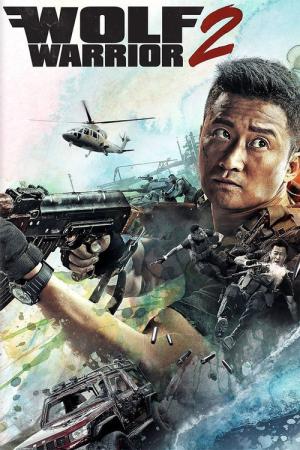 Zhan Lang II (2017)