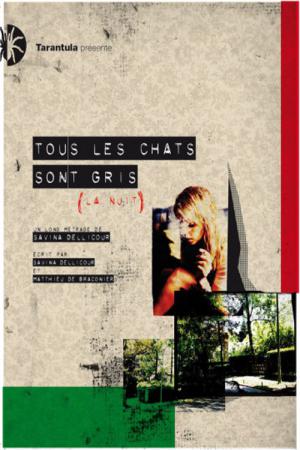 Tous les chats sont gris (2014)