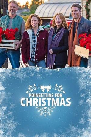 Christmas Star (2018)
