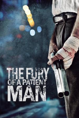 The Fury of a Patient Man (2016)