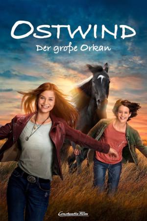 Stormwind - in zwaar weer (2021)