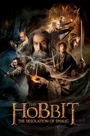 De Hobbit: de Woestenij van Smaug (2013)