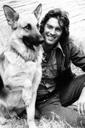 Hond op de vlucht (1974)