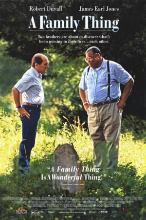 A Family Thing (1996)