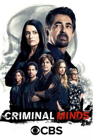Criminal Minds (2005)