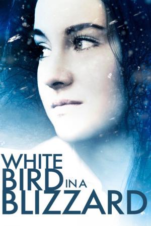 White Bird in a Blizzard (2014)