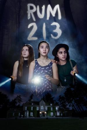 Kamer 213 (2017)