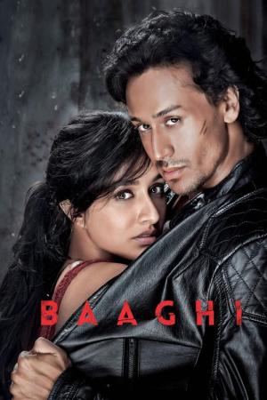 Baaghi: A Rebel for Love (2016)