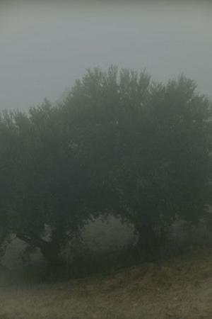 Why Do I See You in Everything? (2026)