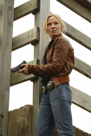 Chase (2010)