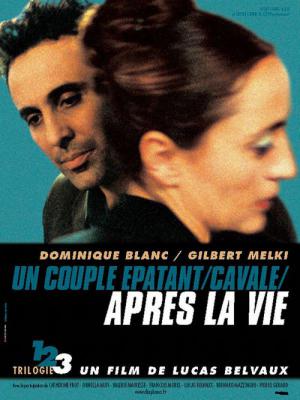 Après la vie (2002)