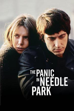 The Panic in Needle Park (1971)