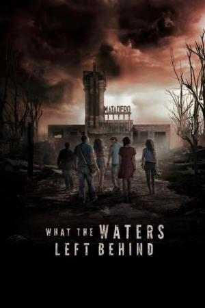 Los olvidados (2017)
