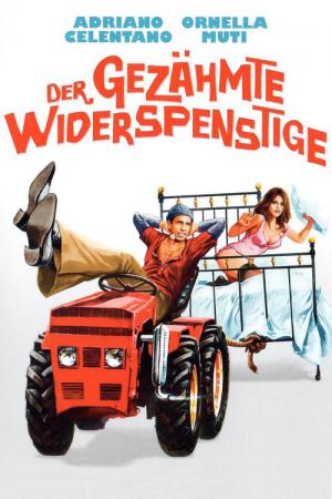 Il bisbetico domato (1980)