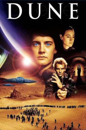 Duin (1984)
