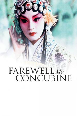 Ba Wang Bie Ji (1993)