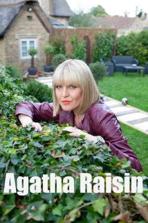 Agatha Raisin (2014)