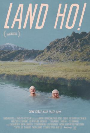 Land Ho! (2014)