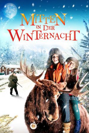 Midden in de Winternacht (2013)