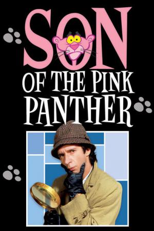 Son of the Pink Panther (1993)