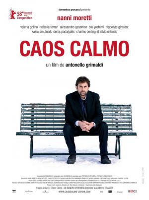 Caos Calmo (2008)