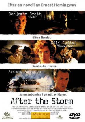 After the Storm (2001)