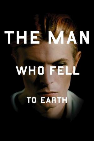 The Man Who Fell to Earth (1976)
