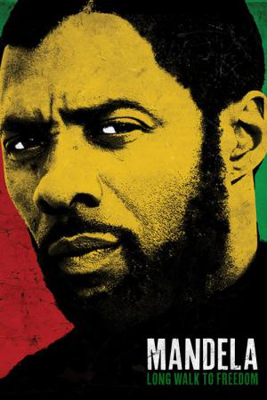 Mandela: Long Walk to Freedom (2013)