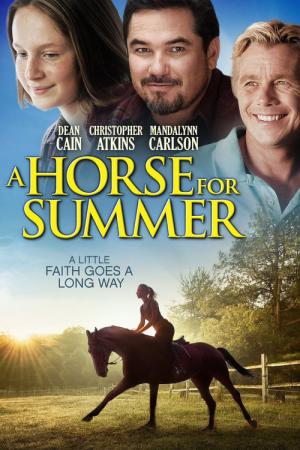 De Paardenzomer (2015)