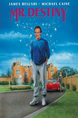 Mr. Destiny (1990)
