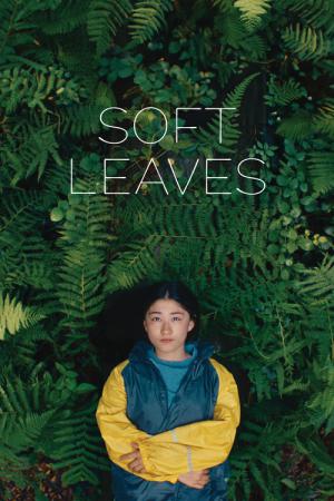 Soft Leaves (2025)