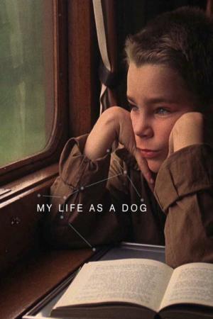 Mijn leven als hond (1985)