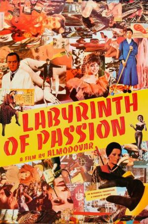 Labyrint der passies (1982)