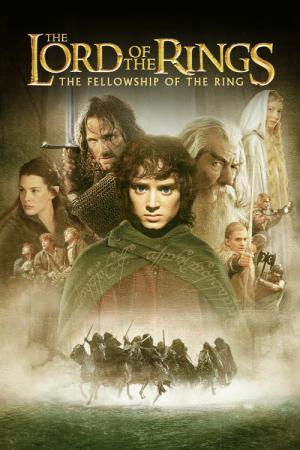 In de ban van de ring: De reisgenoten (2001)