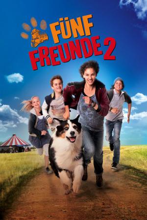 De Vijf en het Groene Oogmysterie (2013)