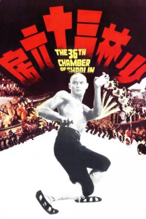 Shao Lin San Shi Liu Fang (1978)