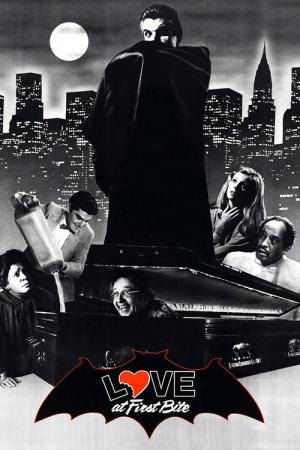 Le tombeur de la nuit (1979)