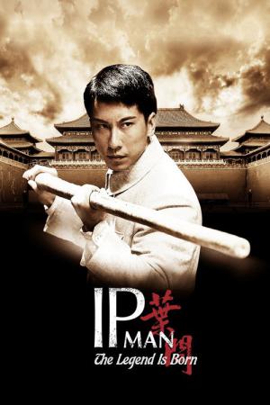 Ip Man The Legend Is Born (2010)