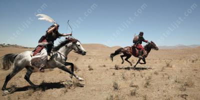 een paard neerschieten films