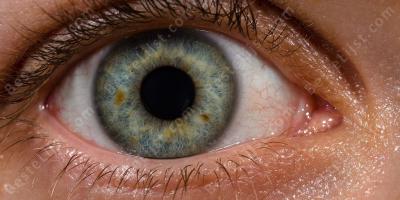 close-up van ogen films