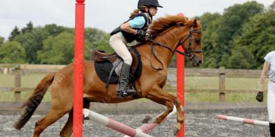 paard springen films