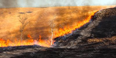 een vuur aansteken films