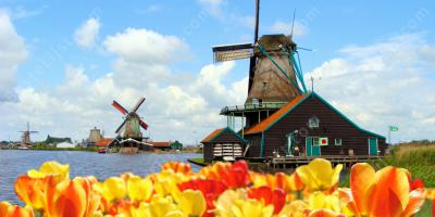 Holland films