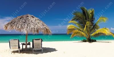 Jamaica films