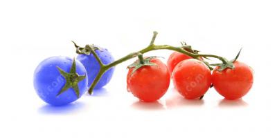genetische manipulatie films
