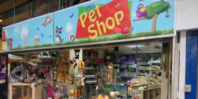dierenwinkel films